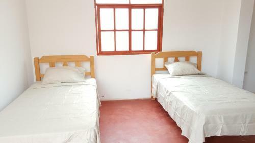 Albergue Mr. Llama Lodge