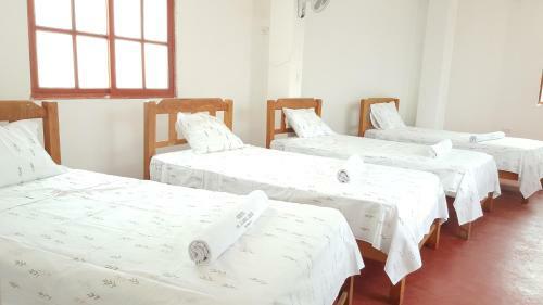 Albergue Mr. Llama Lodge