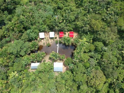 Lodge Friends Of The Amazon Jungle