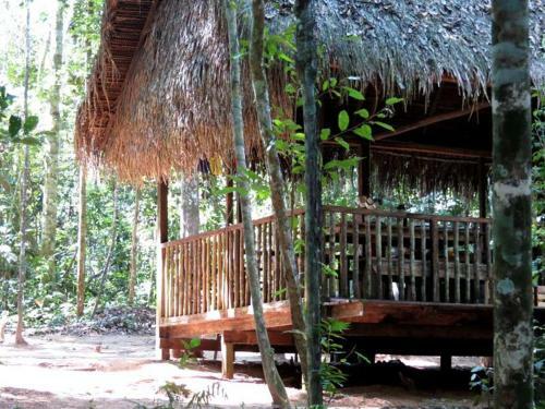 Albergue Treehouses In The Jungle