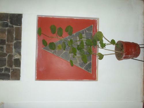 Hostal Suit Titikaka
