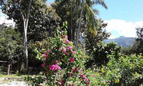 Agroturismo El Cacaotal
