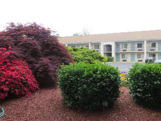 Hotel Super 8 Knoxville Downtown/wes