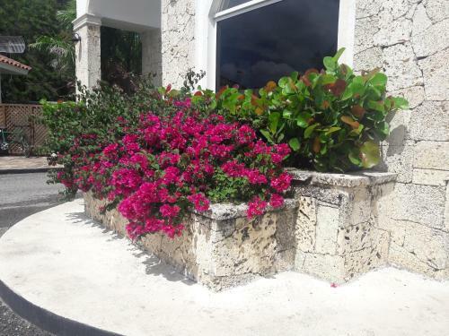 Apartamento Cadaqu�s Caribe Formentera 115