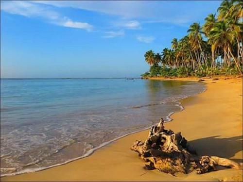 Apartamento Appartement Face � La Mer