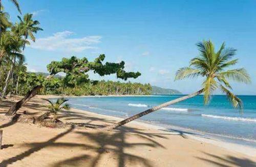 Apartamento Appartement Face � La Mer