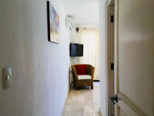 Apartamento Penthouse Tibur�n Ballena