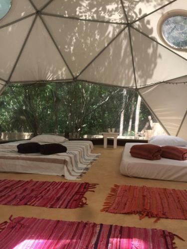 Lodge Pueblito Selva Chemuyil