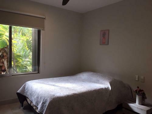 Apartamento Departamento Palmeira