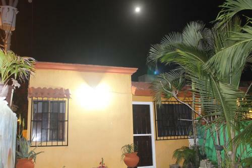 Casa Cotorro Best Tulum Adventures