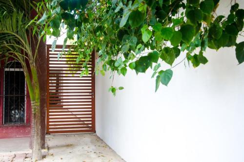Apartamento Suite Casa Tortuga