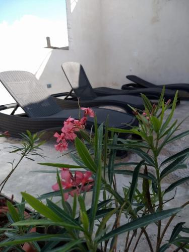 Sol-ha Tulum Hotel Boutique