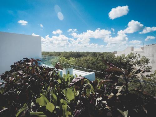 Quinto Sol Luxury Apartments By Im�xico