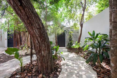 Relaxing Casa Tzalam 3br Surrounded By Nature By Happy Address