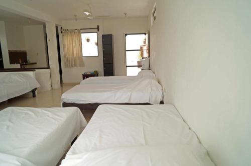 Albergue Hostal Frida