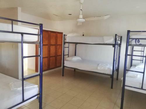 Spanglish Hostel