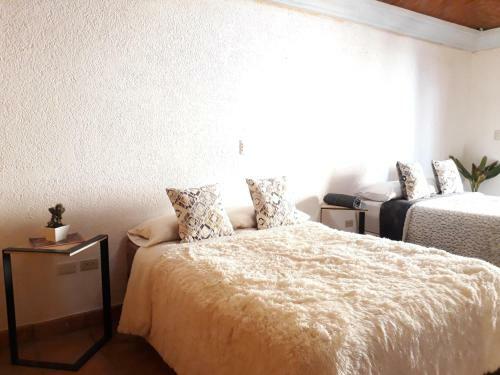 Albergue Lool Beh Hostal Boutique