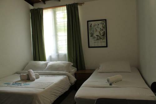 Palm Tree Hostel