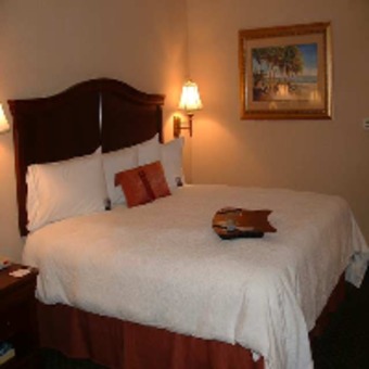 Hotel Hampton Inn Corpus Christi-northwest I-37 Tx