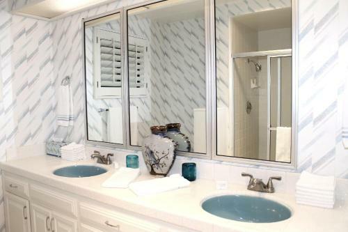 Salomon's Paradise: Desert Home
