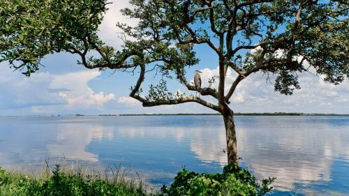 Apartamento Runaway Bay 242 - 1418878 Condo