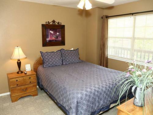 Apartamento Silver Dollar #703591 Condo