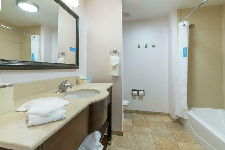 Hotel Hampton Inn Suite Lake City Fl