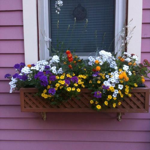 Rose & Thistle Bed & Breakfast