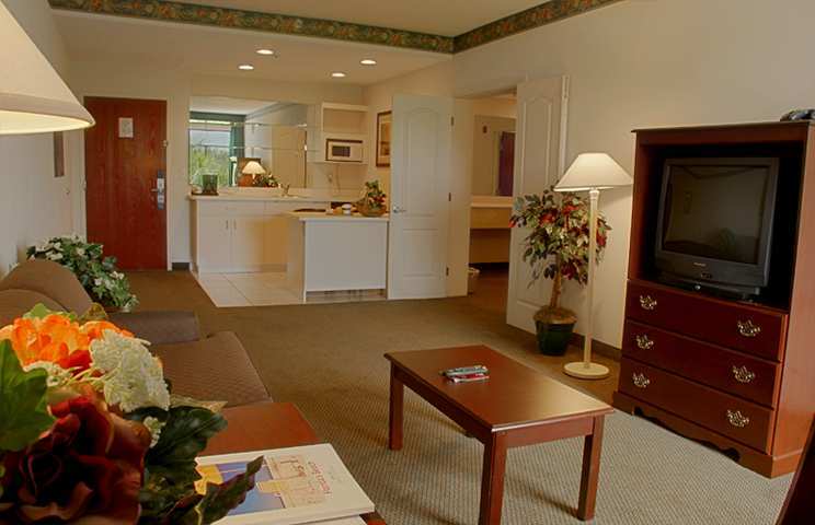 Hotel Hampton Inn St Petersburg Fl