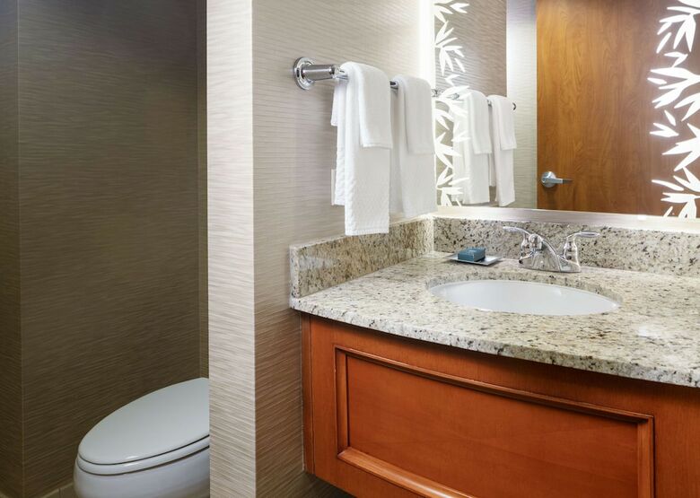 Hotel Hilton St. Petersburg Carillon Park