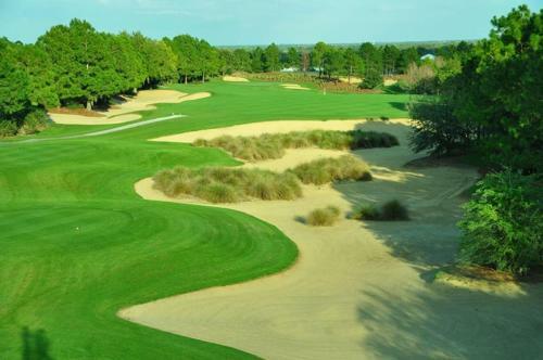 Palm Break 16621