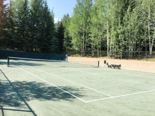 663 Sawatch Drive Townhouse Unit 1