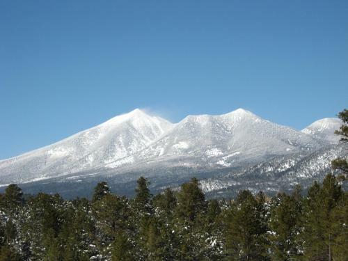 Location! Nature Lovers Getaway - Close To Historic Downtown