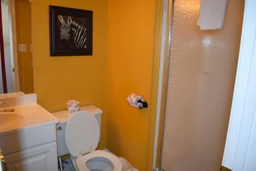 Apartamento El Matador 450 Condo