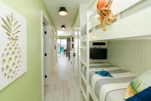 Apartamento #204 - Turtle-y Awesome