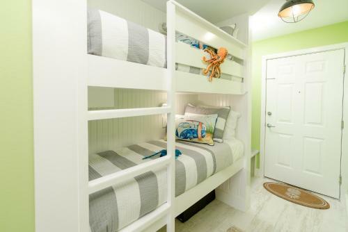 Apartamento #204 - Turtle-y Awesome