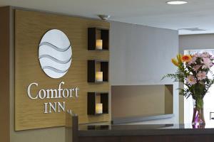 Hotel Comfort Inn South