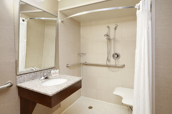 Hotel Holiday Inn Matteson Conference Center