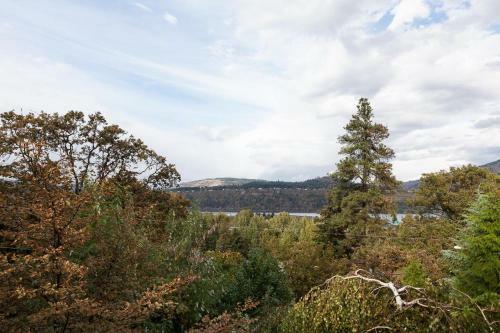Tree House-river View-2br/1ba