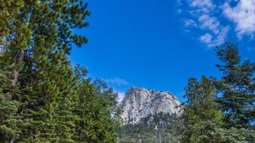 Lily Rock By New Spirit