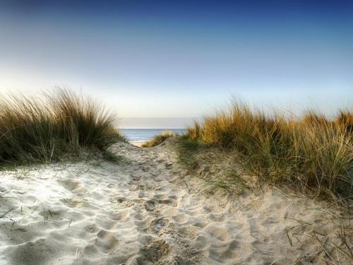 Seascape 317