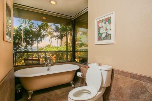 Sands Of Kahana #315 Home