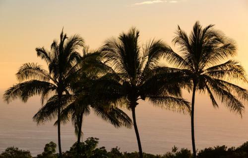 Nani Kailua