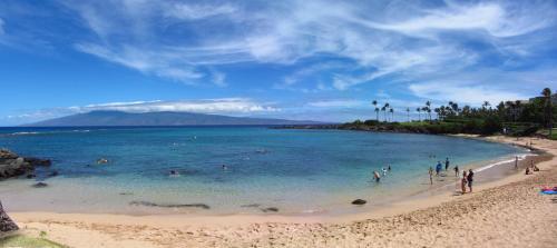 Kapalua Bay Villa 11g1