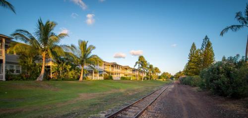 Coconut Plantation 1086-1