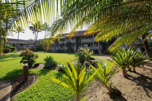Apartamento Kihei Bay Vista #c-106 Condo