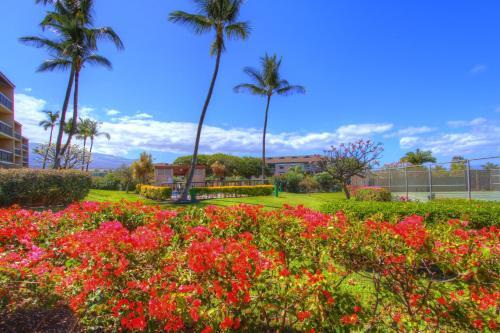Apartamento Maui Vista 3105