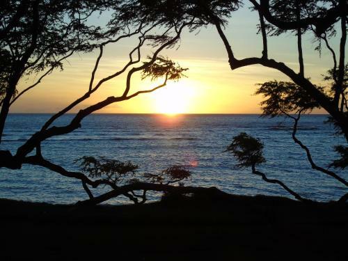 Apartamento Aloha Aku - Ohana 2