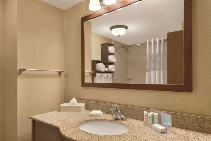 Hotel Hampton Inn Cincinnati/kings Island
