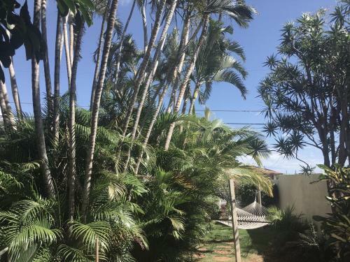Lodge Maui Garden Oasis